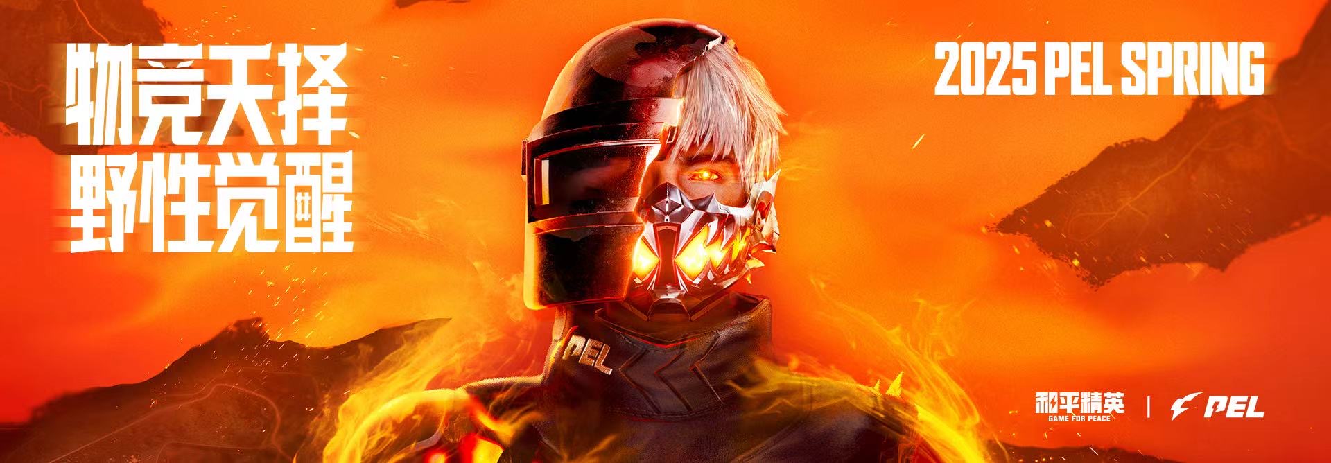 和平精英辅助【彩虹】